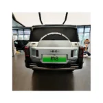 Leopard 8, Fang Cheng Bao – For Sale From China  | EVOVED - Image 6